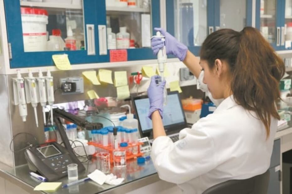 Investigadores acusan: el SNI impone cambios y opera en desacato