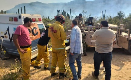 Suman seis incendios en una semana en Baja California Sur; autoridades refuerzan prevención
