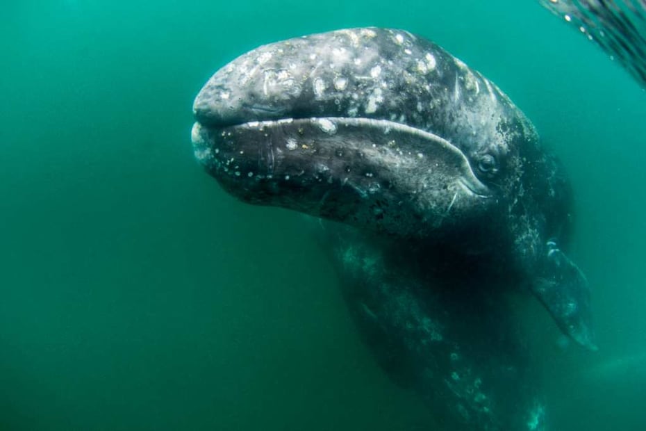 Foto: Emprhotur La Paz