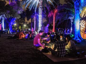 Cuándo es el Picnic Navideño en el Bosque de Aragón