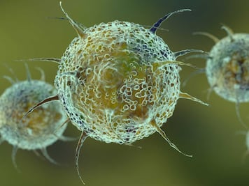 Detectan la variante "deltacron" en Chipre, una combinación de ómicron y delta