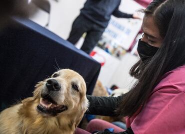 Purina y CENATAC inauguran segunda unidad canina de intervención a nivel hospitalario en México