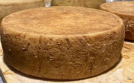Queso mexicano es elegido como el mejor de Latinoamérica