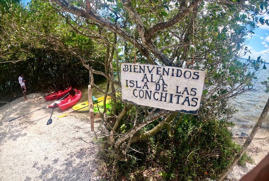 Foto: Natural Mystic Veracruz