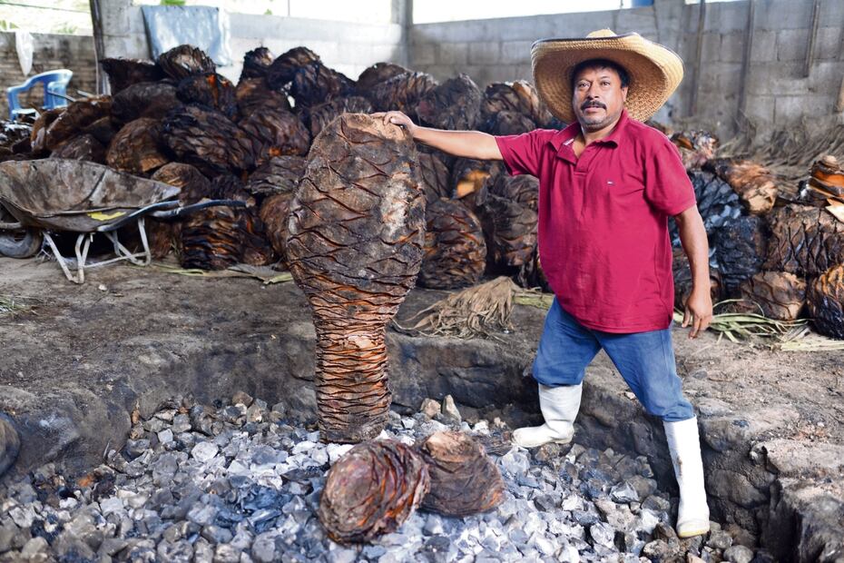 Faustino Castro Bello es maestro mezcalero. Actualmente trabaja con su familia, a quien enseña los procesos ancestrales para elaborar la bebida y así continuar la tradición. Foto: Salvador Cisneros / El Universal 