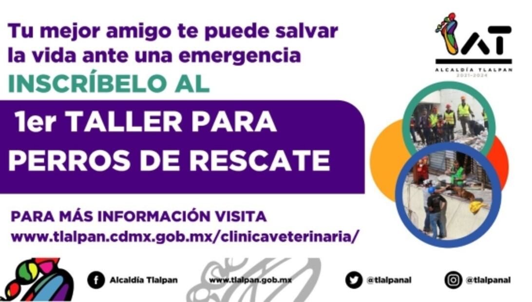 Alcaldía Tlalpan capacitará a lomitos en labores de rescate 