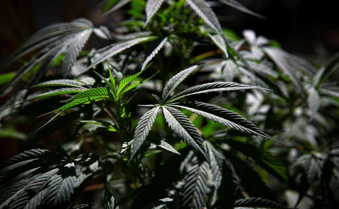 Foto: Archivo / EL UNIVERSAL