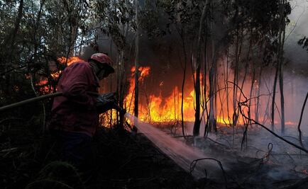 Mexicanos desarrollan red de sensores para alertar de incendios forestales