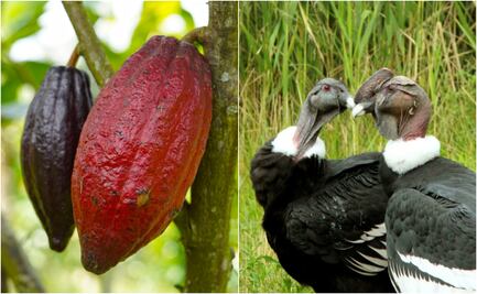 ¿Qué se celebra hoy, 7 de julio?; conoce las efemérides de este día 