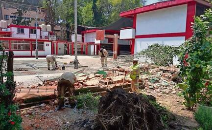 Caen 3 árboles en Lindavista; uno tira muro de una primaria 