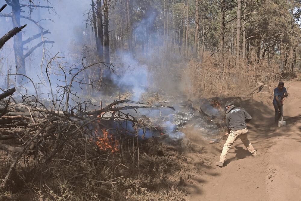 El incendio en el municipio de Jilotzingo ha devastado más de 600 hectáreas de bosque; autoridades consideran que fue provocado. Foto: de Gabriel Pano. El Universal