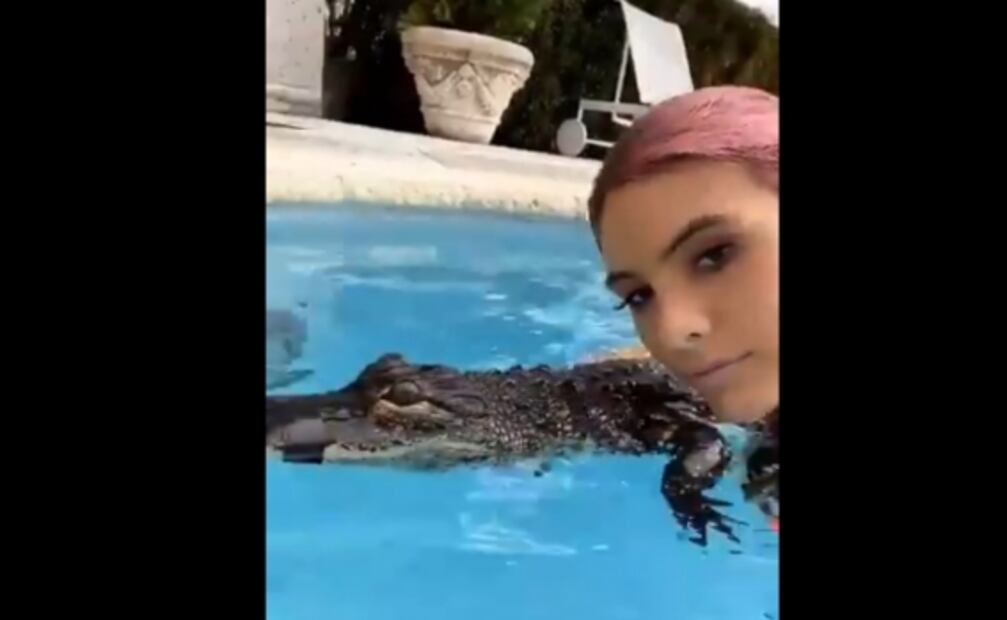 Lele Pons es acusada de maltrato animal por un video