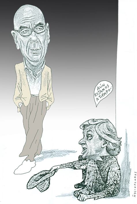 Cartón de HELIOFLORES