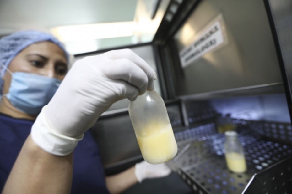 Covid-19: ¿La leche materna tiene anticuerpos contra el coronavirus?