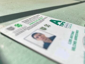 Cómo llevar mi licencia de conducir digital en el celular