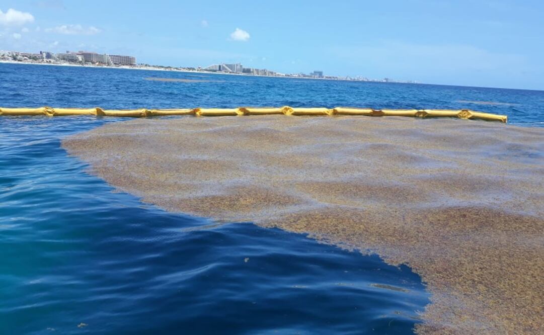 Foto: Cortesía de Gobierno de Quintana Roo