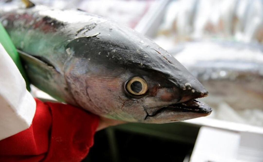 File photo/REUTERS