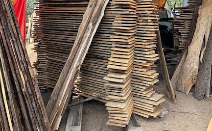 FGR realiza cateos por aprovechamiento ilegal de madera en Acaxochitlán, Hidalgo; lugares operaban sin permisos