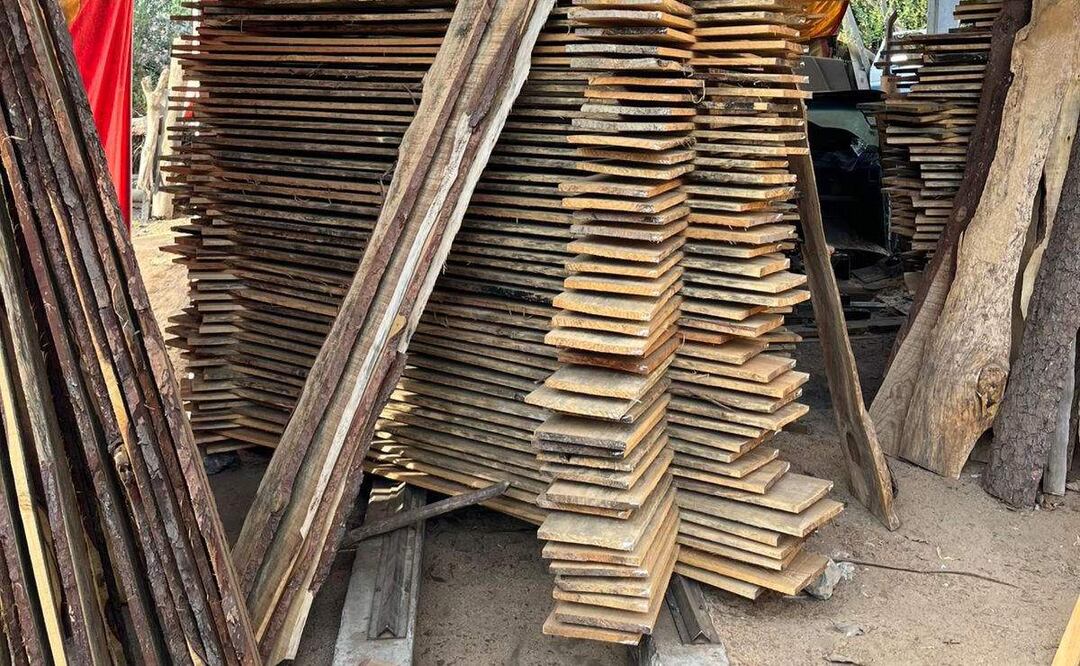 Aseguran tres torres de aserrío y más de 800 piezas de madera de pino durante cateos en Acaxochitlán, Hidalgo (22/05/2025). Foto: Especial