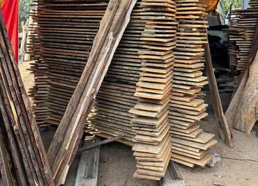 FGR realiza cateos por aprovechamiento ilegal de madera en Acaxochitlán, Hidalgo; lugares operaban sin permisos