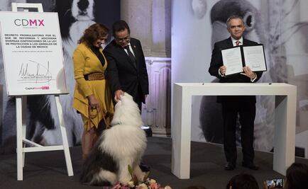Propone Mancera clausurar establecimientos que realicen peleas de perros 