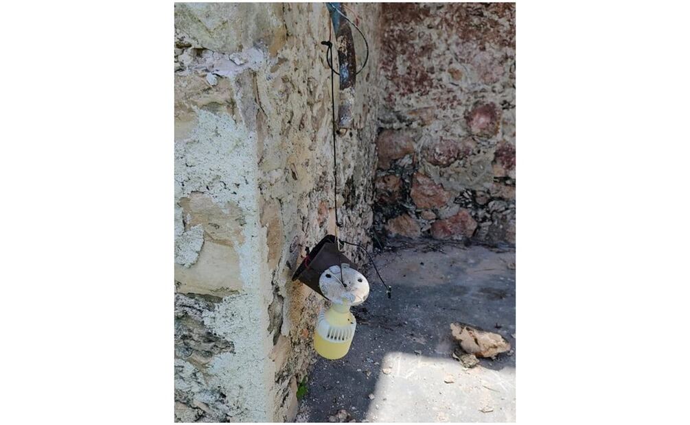 Roban alcancías con limosnas en parroquia de Sacalum, Yucatán este 20 de septiembre. Foto: Especial