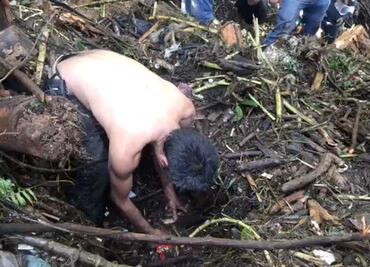 Inician labores de auxilio en Michoacán