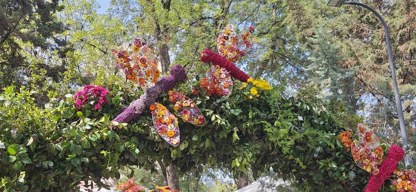 Las calles de San Ángel se transformarán en un mosaico de colores. Foto: Patronato De La Feria De Las Flores De San Ángel A.C