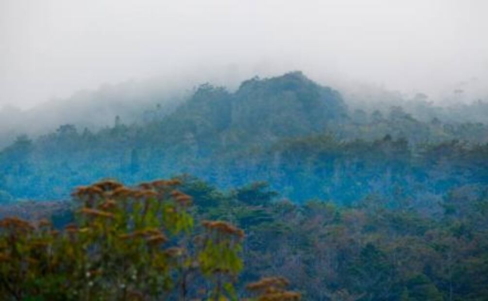 Medellín, el “ave fénix” 