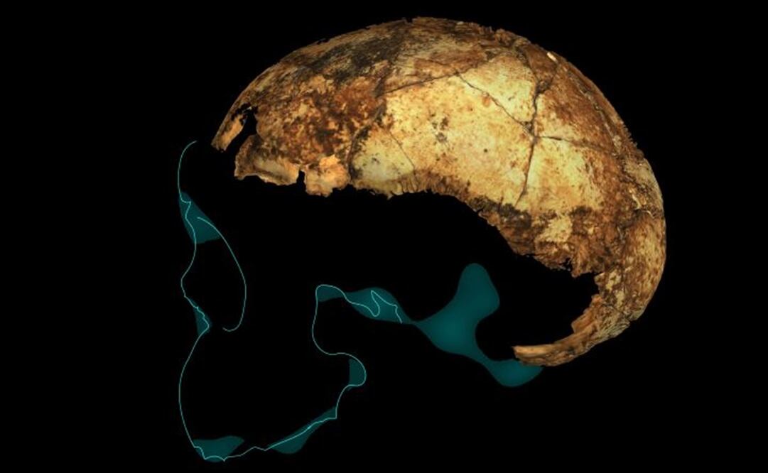 Foto: Universidad de La Trobe