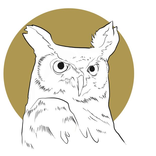 BÚHO
Nombre científico: Strigiformes.
Habita en bosques mixtos de pino-encino. 
Especies: Búho cornudo.
Presente: Nevado de Toluca, bosques en Lerma, Villa Guerrero y Donato Guerra.
Alimento: Conejos, ratones, coatíes, zorrillos, tlacuaches, diferentes especies de aves, reptiles e insectos.
