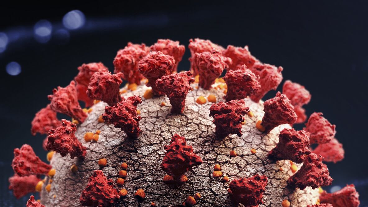 El profesor Paul Hunter de la Universidad de East Anglia asegura que el caso es "muy preocupante" debido a la pequeña brecha entre las dos infecciones y la gravedad de la segunda. Foto: Getty Images vía BBC