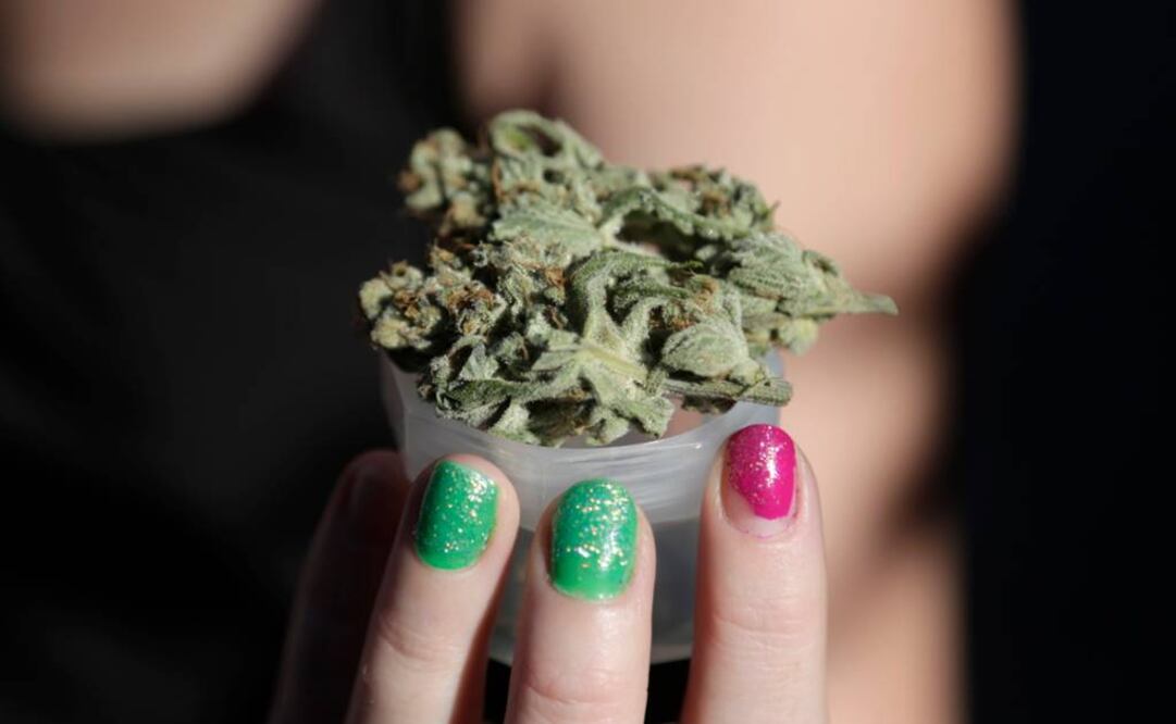 En Estados Unidos más de 20 estados han regulado su uso terapéutico. Foto: Archivo