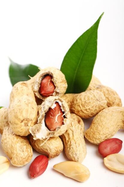 Cómo hacer una planta de maní. Fuente: Freepik