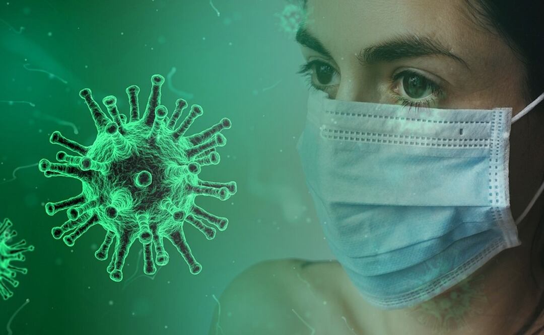 coronavirus. / foto: Pixabay.