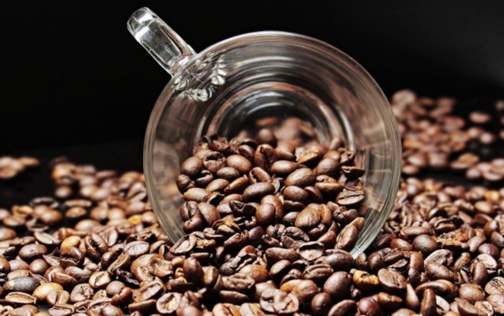 Los granos de café son un remedio casero que ayuda a eliminar las hormigas. Foto: Archivo / EL UNIVERSAL