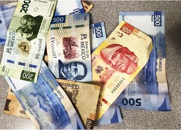 Presupuesto federal para igualdad de género no logra cambios estructurales; 52% se destina para pensiones: CIEP
