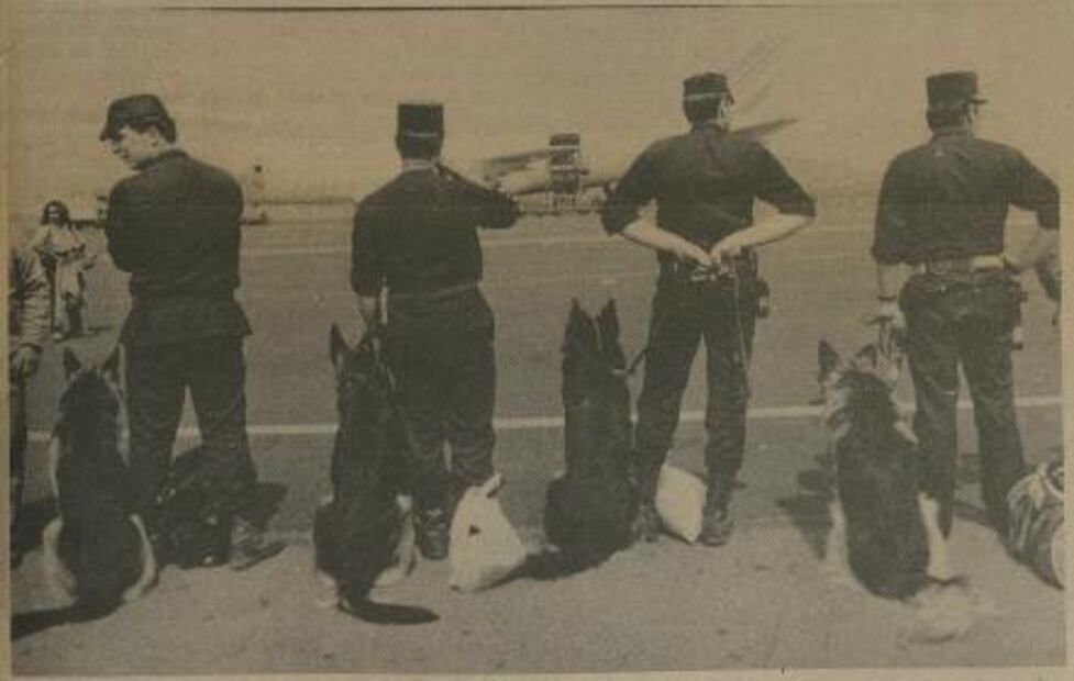 Antes de Frida: los héroes caninos del 85