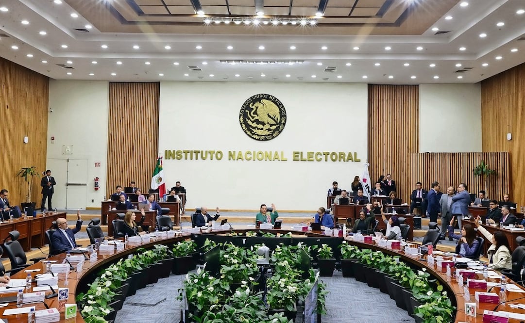 El Consejo General del Instituto Nacional Electoral concluyó la investigación sobre la entrega de dinero a un hermano del expresidente López Obrador. Foto: Especial