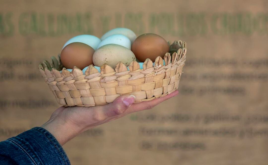 Fotos: Édgar Silva Fuentes