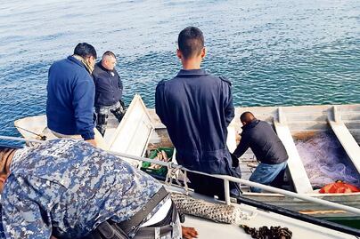 Corrupción, flagelo de la vaquita marina