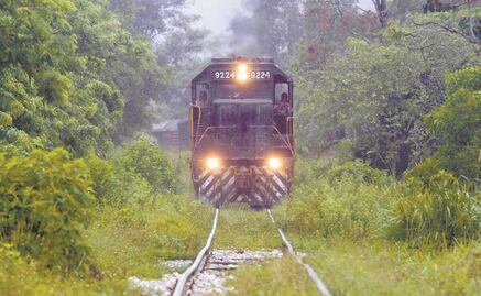 "¿Dónde estaban los pseudoambientalistas?": la respuesta de SEMARNAT ante críticas del Tren Maya de famosos y científicos