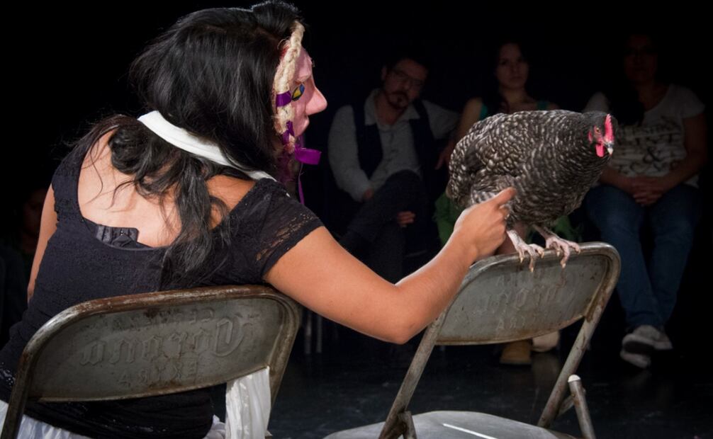 Los Colochos Teatro