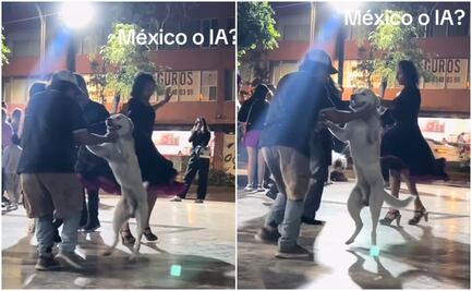 VIDEO: Perrito conquista TikTok al bailar en sonidero mexicano 