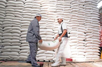 Sequía afecta producción de caña, bajarán exportaciones de azúcar hacia EU