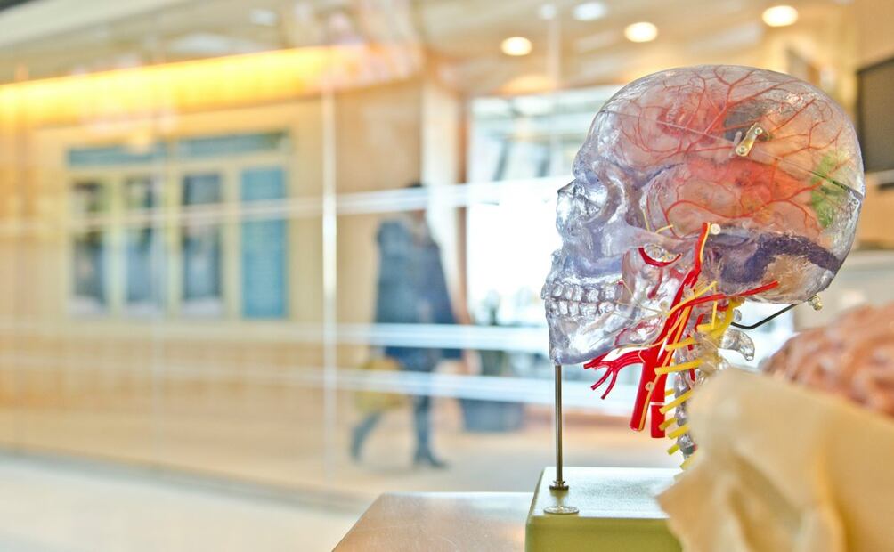 China chips cerebrales. Imagen: Unsplash