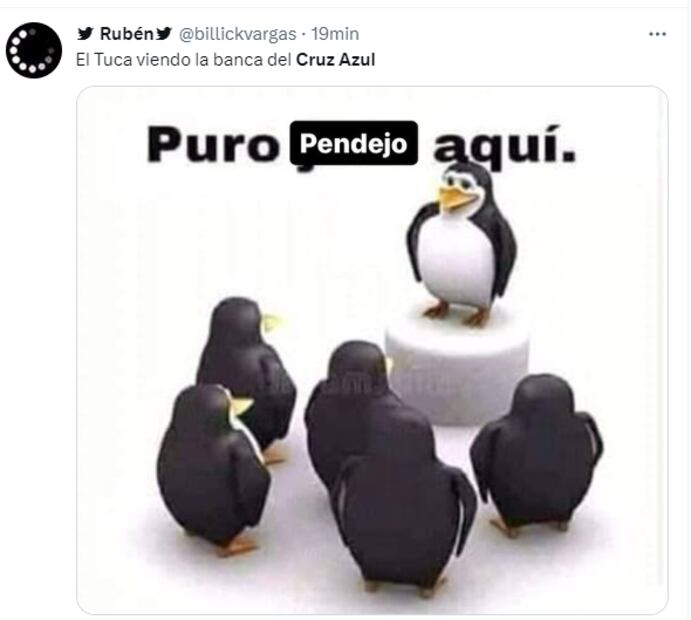 FOTO: ESPECIAL