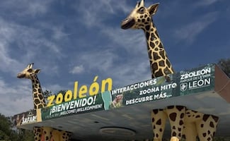 Zoológico de León cierra de forma temporal tras revisión de Profepa por muerte de varios animales en cautiverio