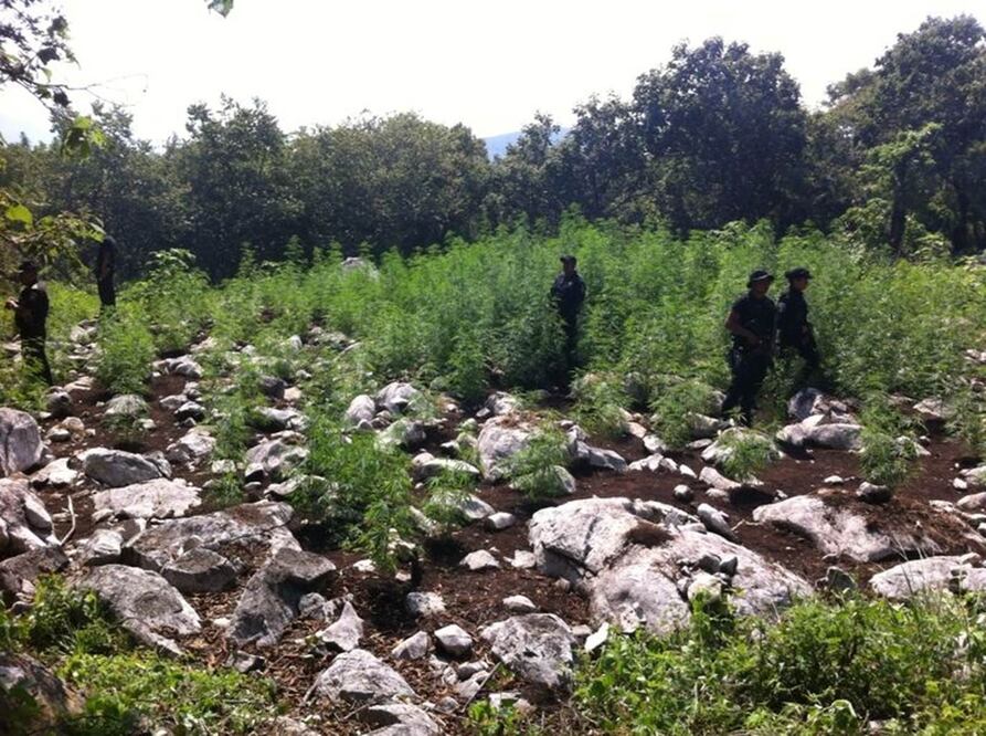 ARCHIVO EL UNIVERSAL