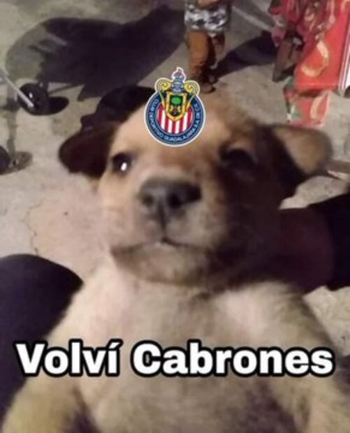 FOTO: ESPECIAL